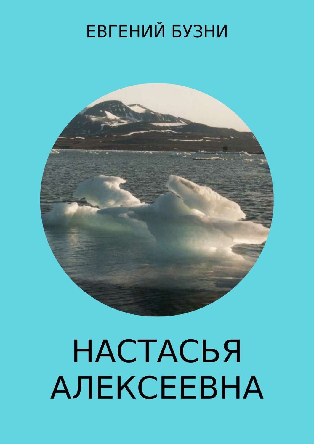 Обложка книги «Настасья Алексеевна. Книга 4»