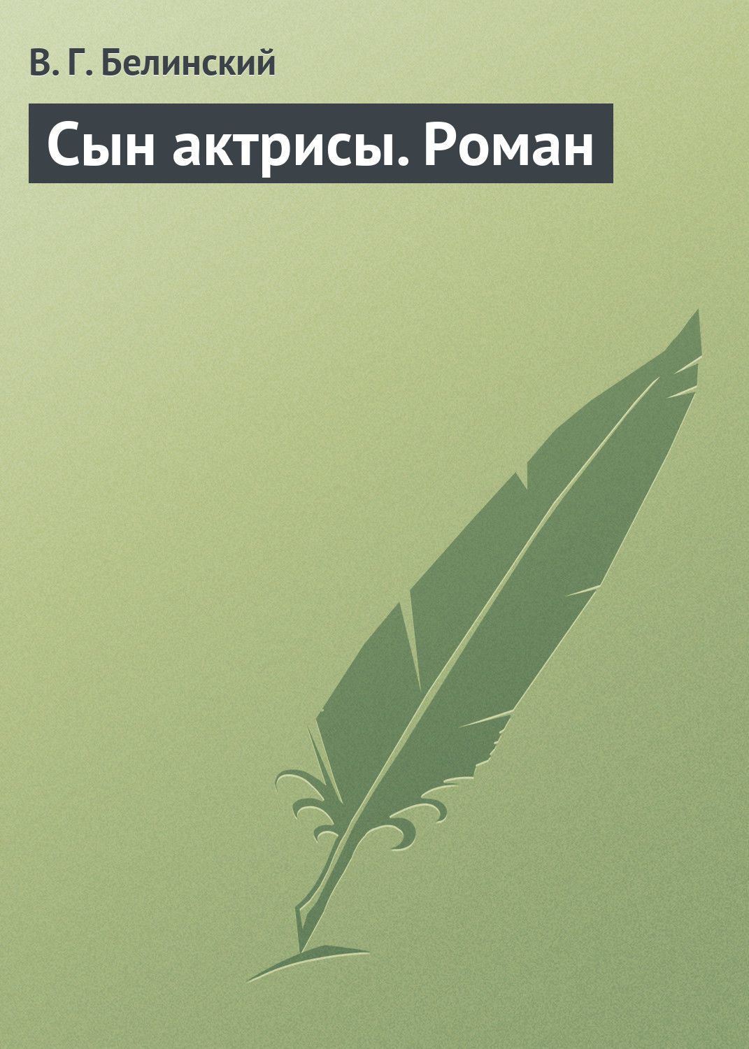 Обложка книги «Сын актрисы. Роман»