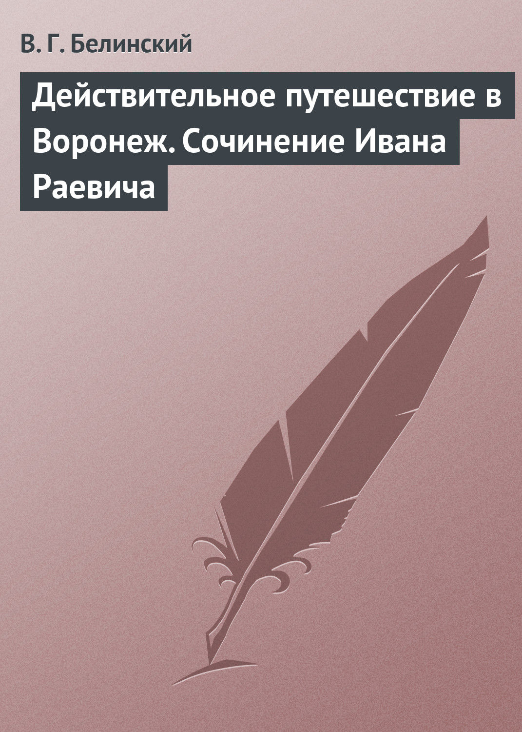 Обложка книги «Действительное путешествие в Воронеж. Сочинение Ивана Раевича»