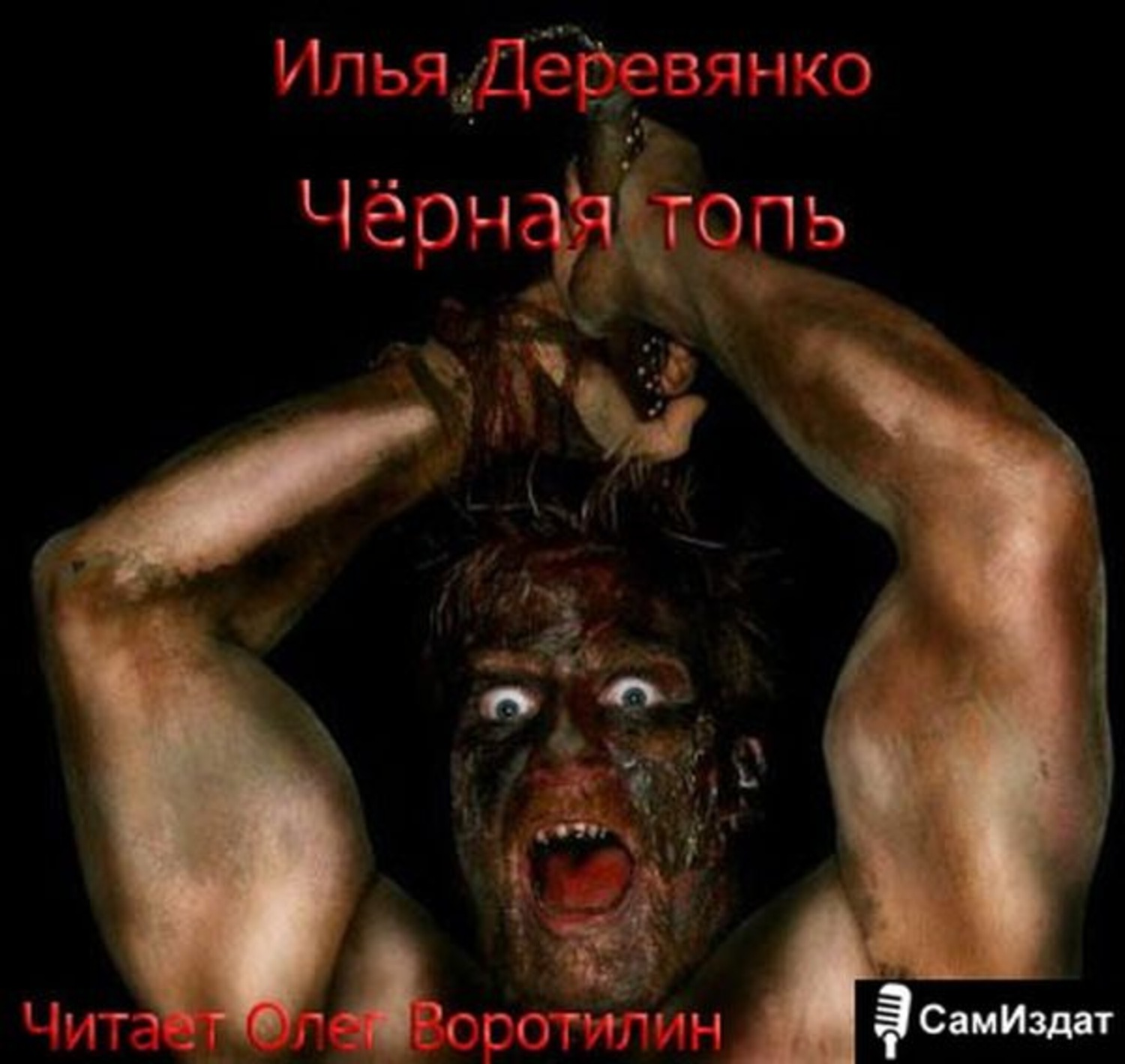 Обложка книги «Черная топь»
