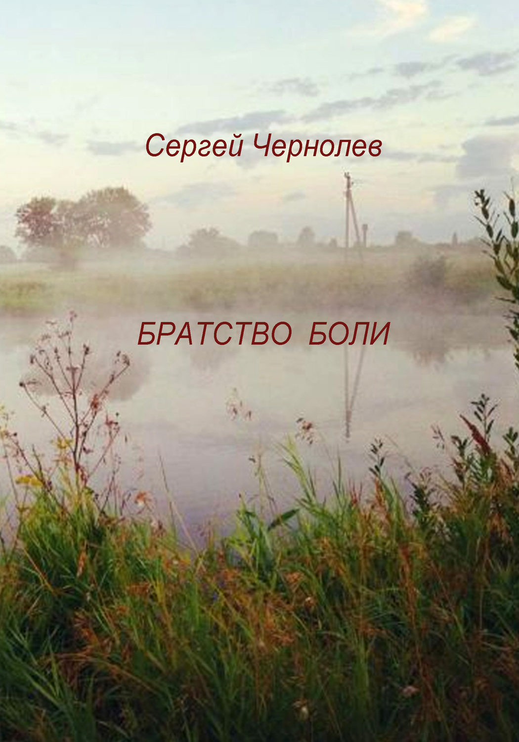 Обложка книги «Братство боли»