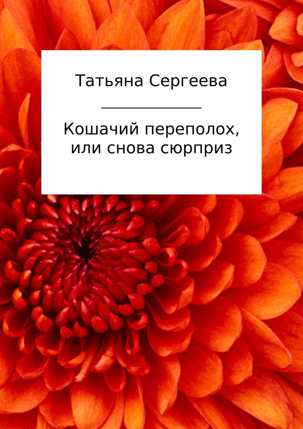 Обложка книги «Кошачий переполох, или Снова сюрприз»