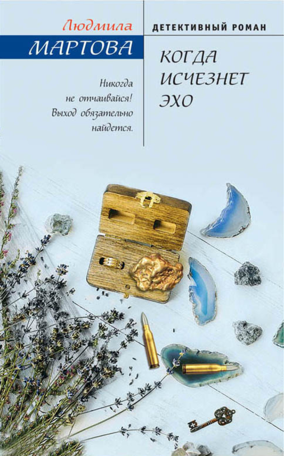 Обложка книги «Когда исчезнет эхо»