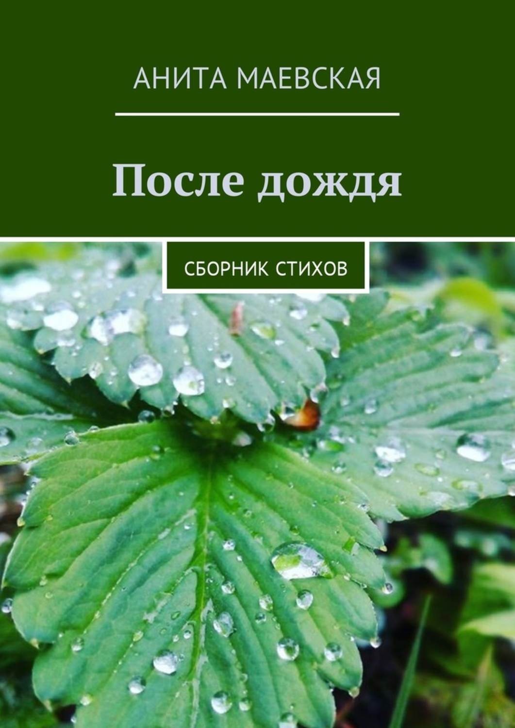 Обложка книги «После дождя. Сборник стихов»