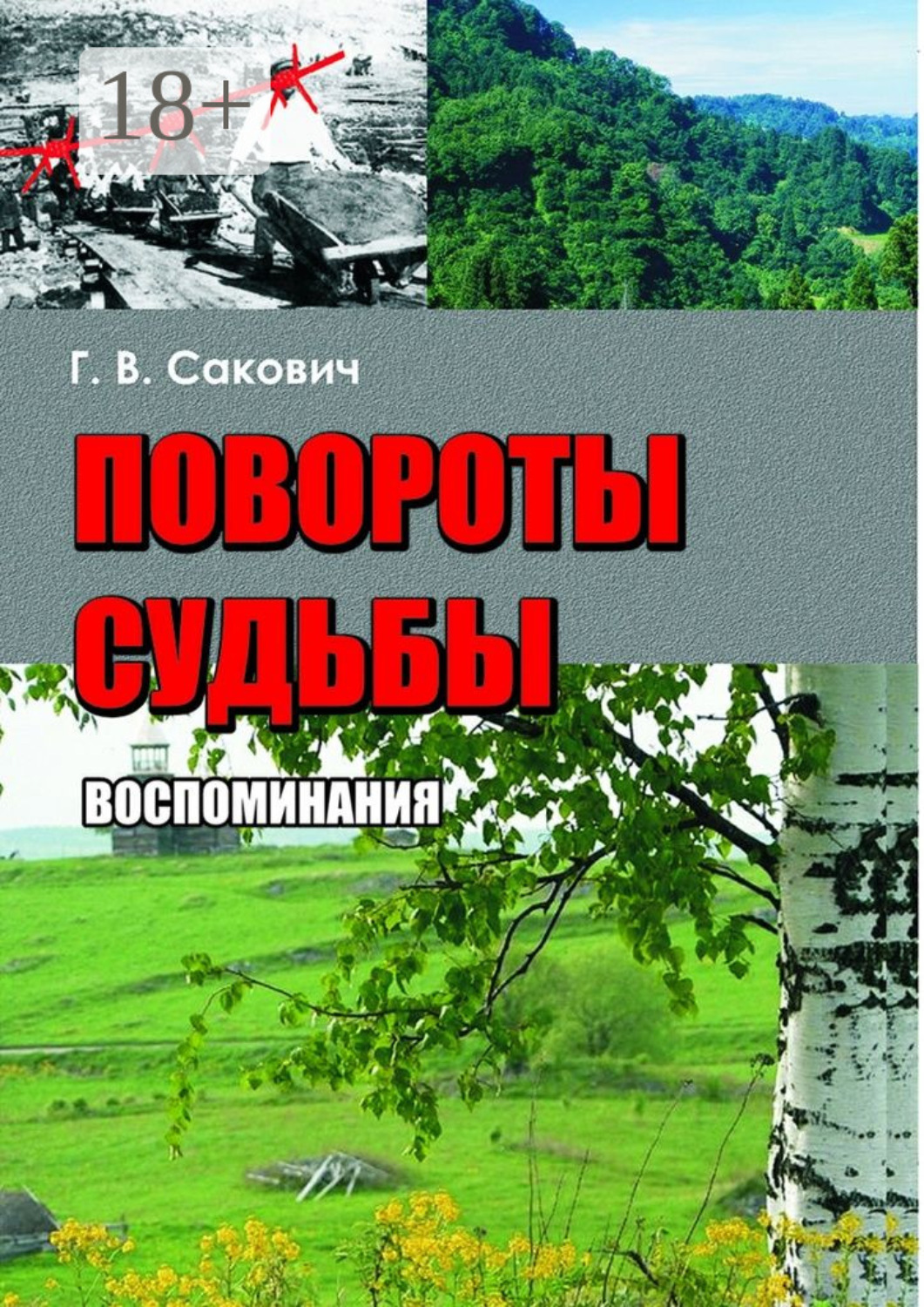 Обложка книги «Повороты судьбы. Воспоминания»