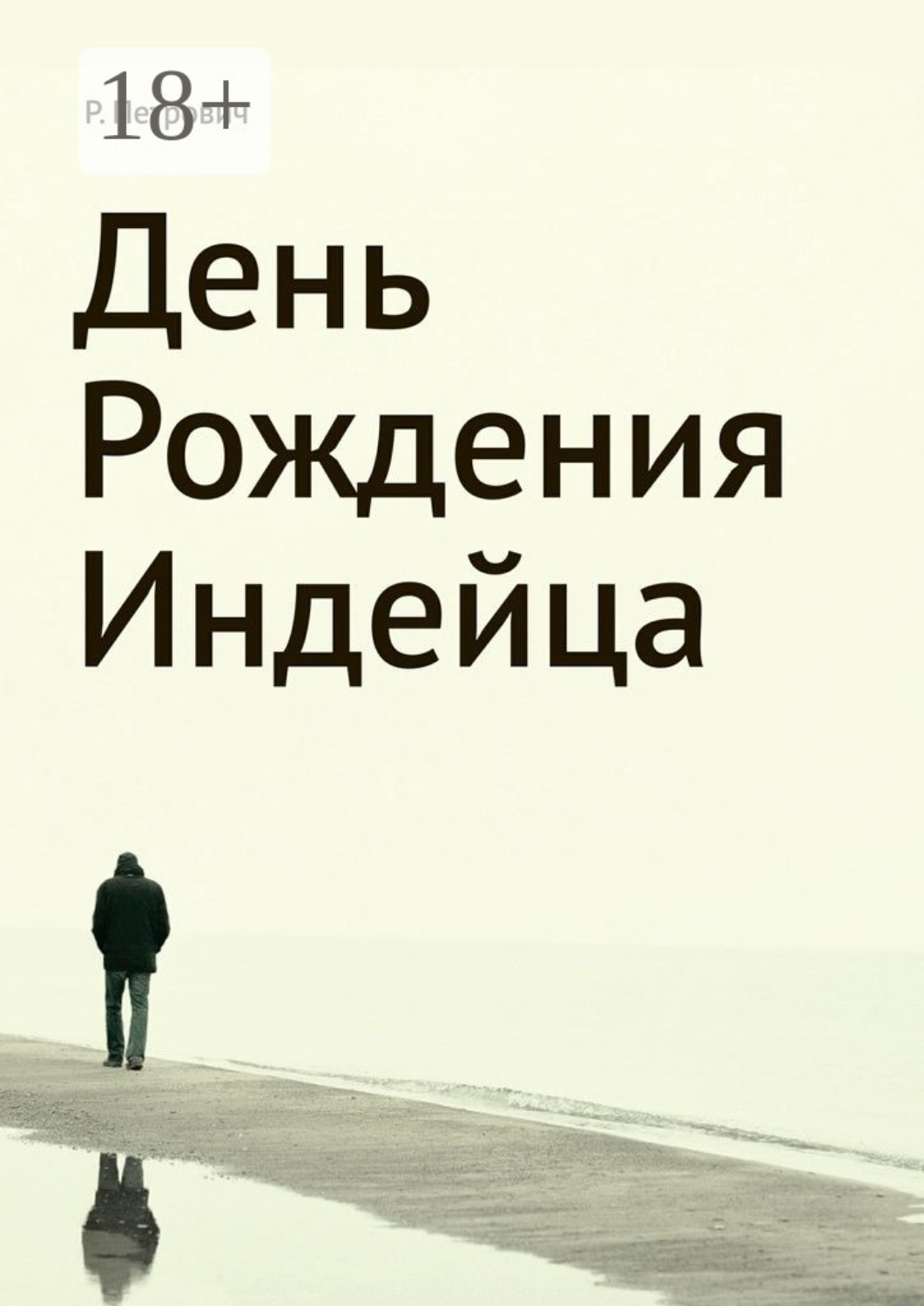 Обложка книги «День рождения Индейца»
