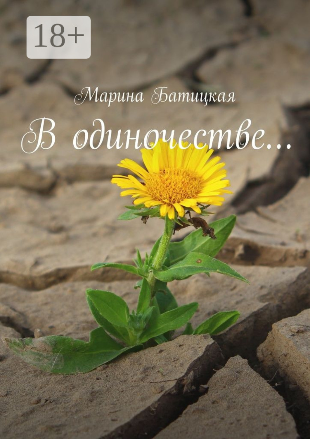 Обложка книги «В одиночестве…»