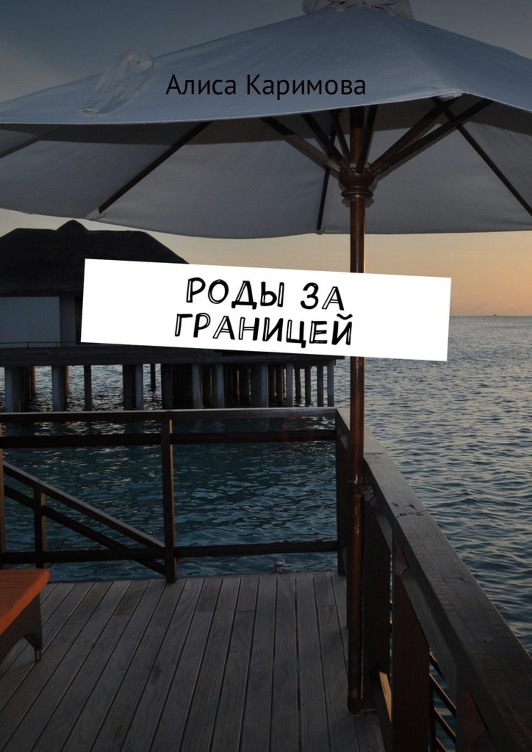 Обложка книги «Роды за границей»