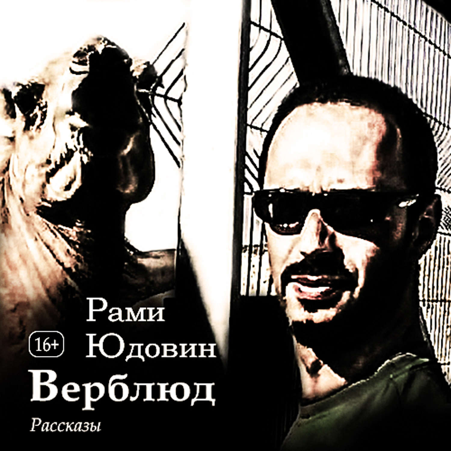 Обложка книги «Верблюд. Рассказы»