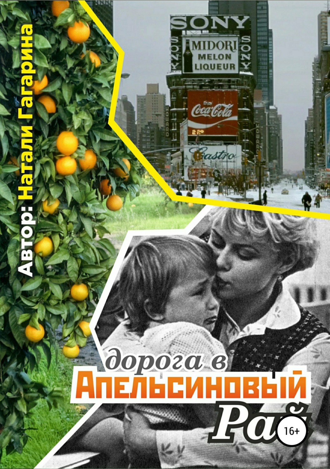 Обложка книги «Дорога в апельсиновый рай»