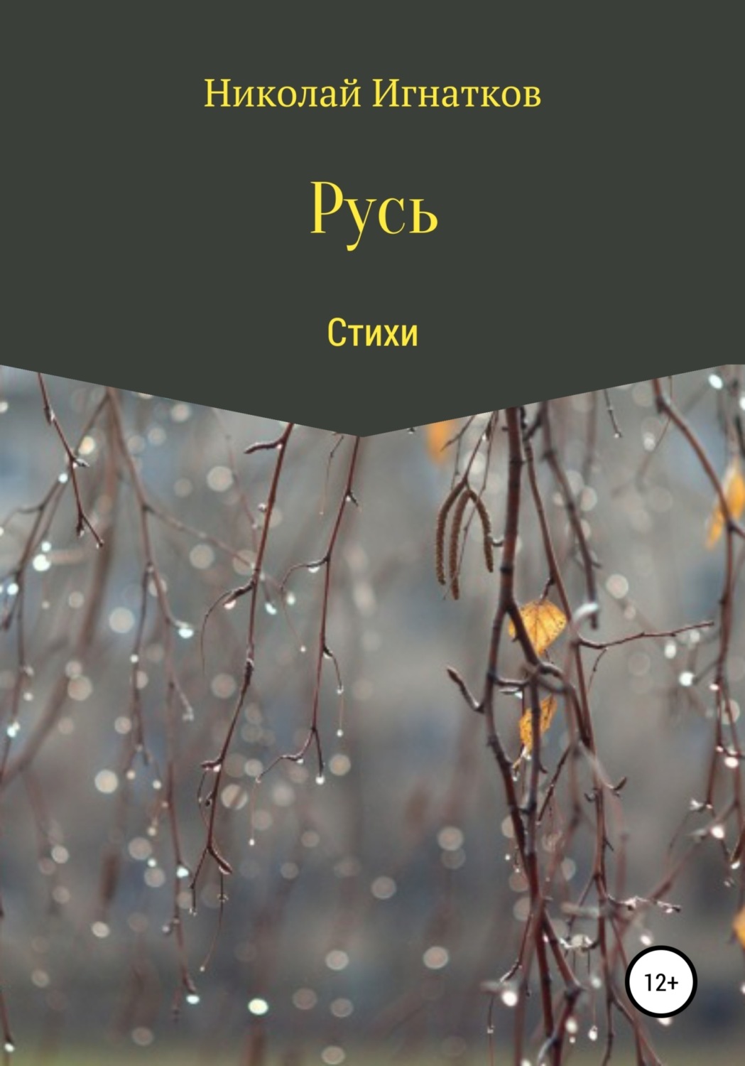 Обложка книги «Русь. Сборник стихов»