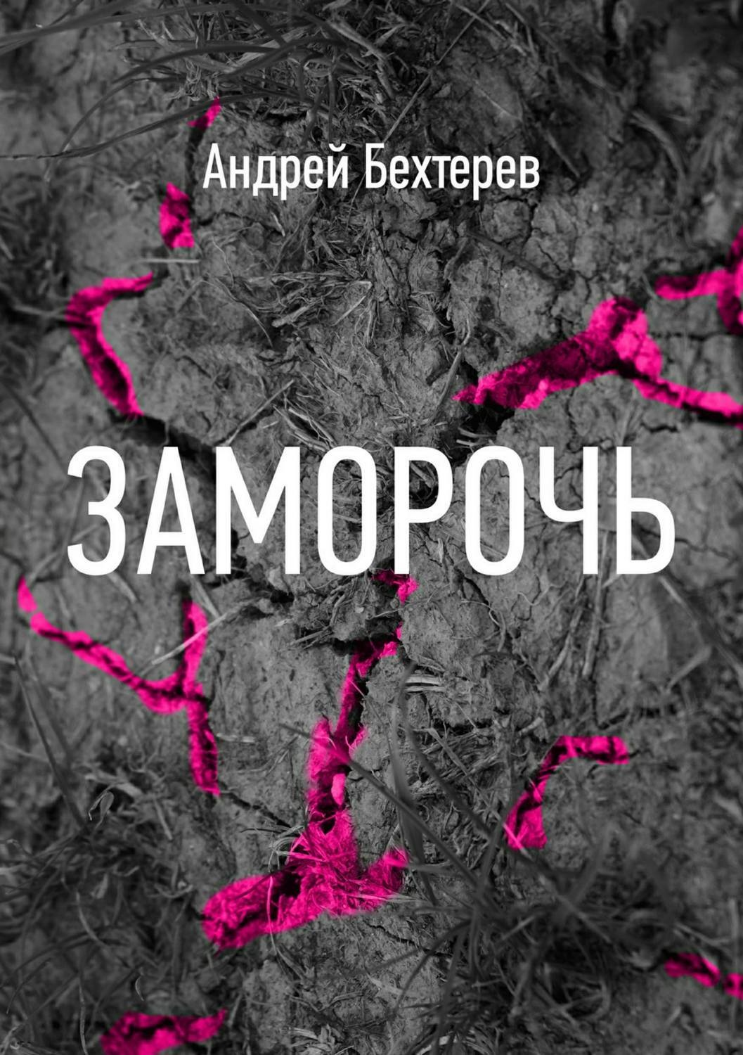 Обложка книги «Заморочь»