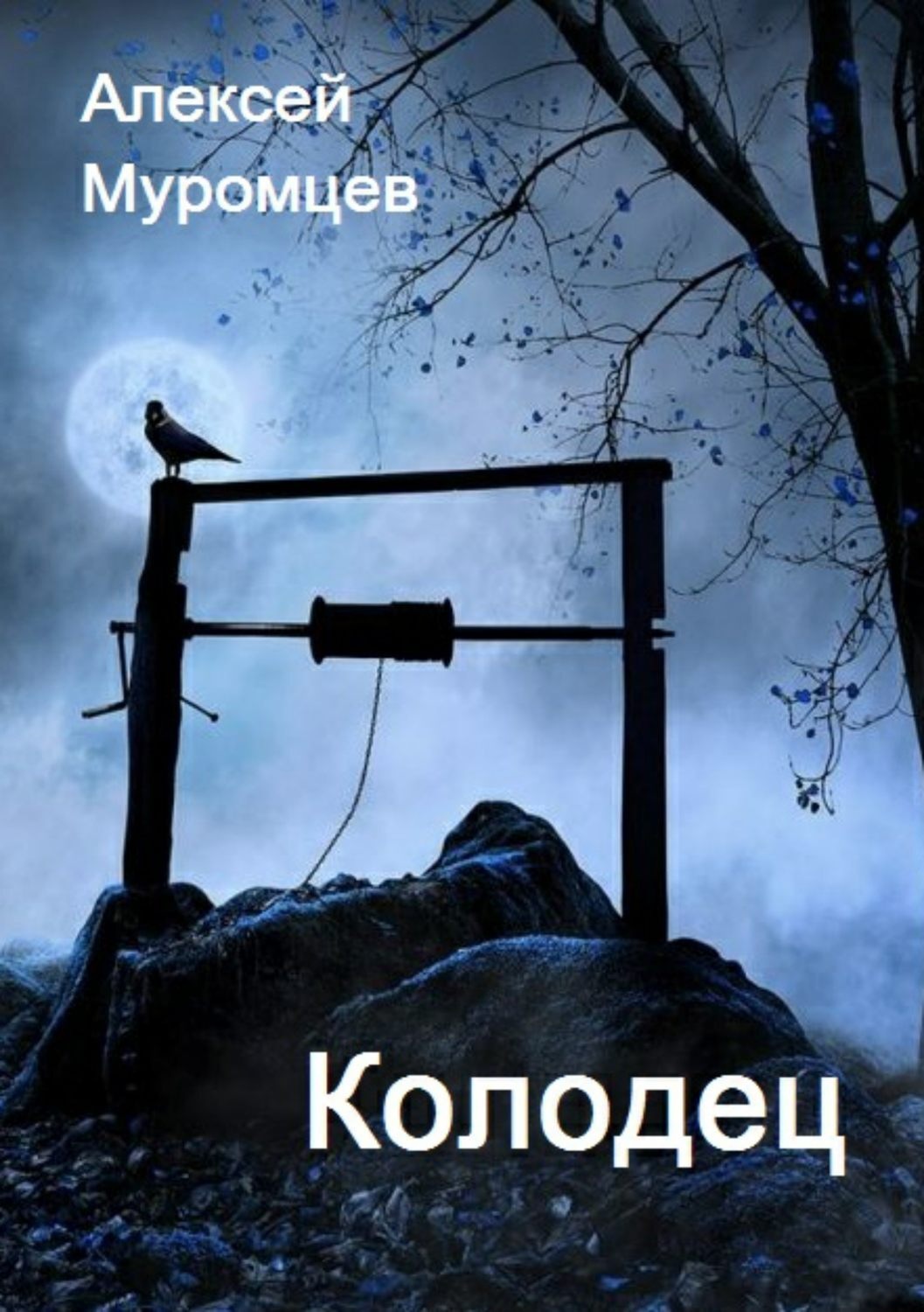 Обложка книги «Колодец»