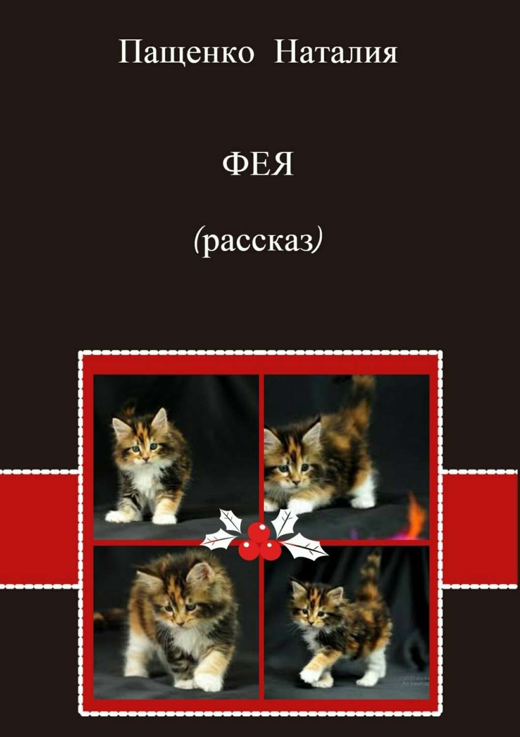 Обложка книги «Фея»