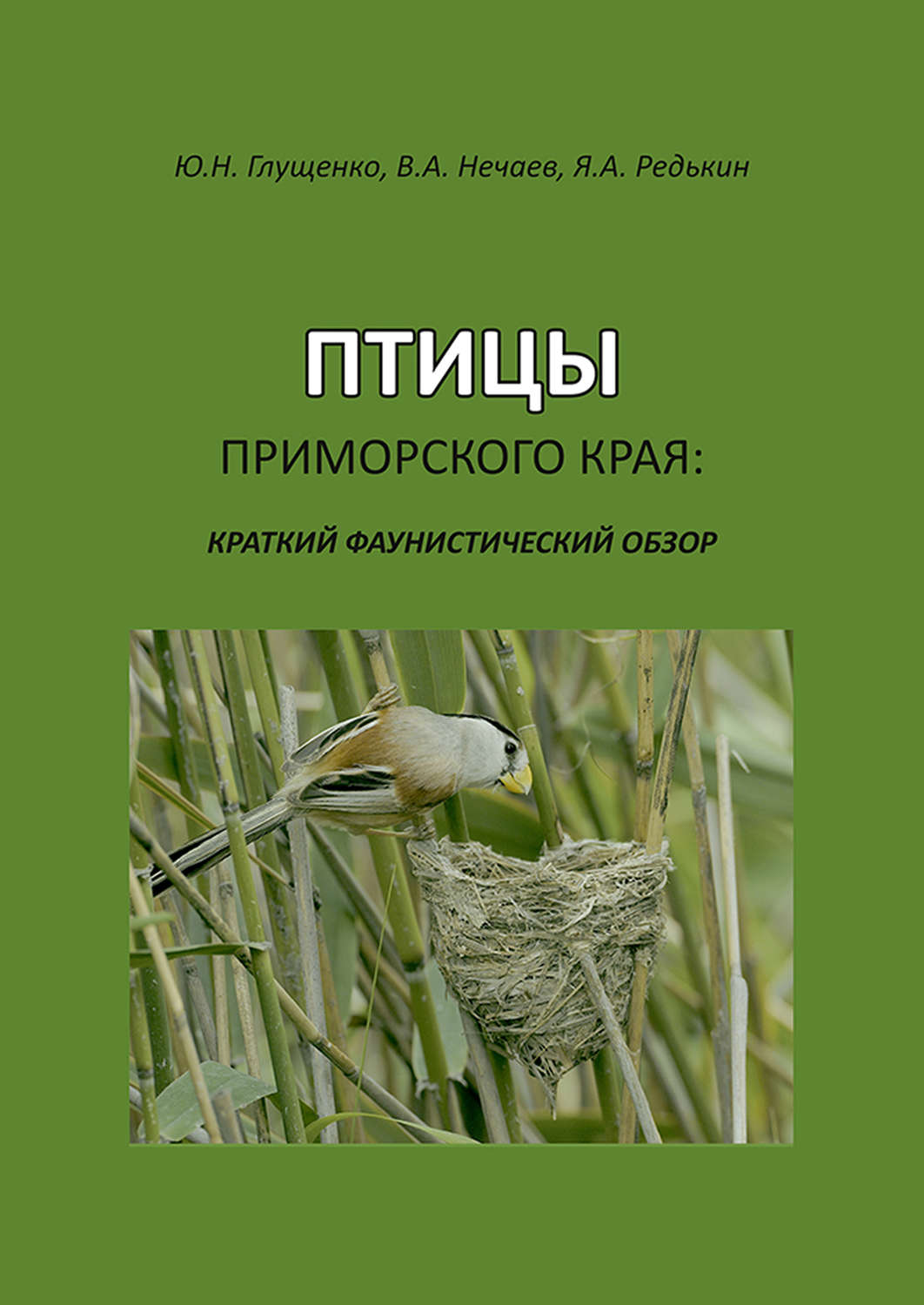 Обложка книги «Птицы Приморского края: краткий фаунистический обзор»