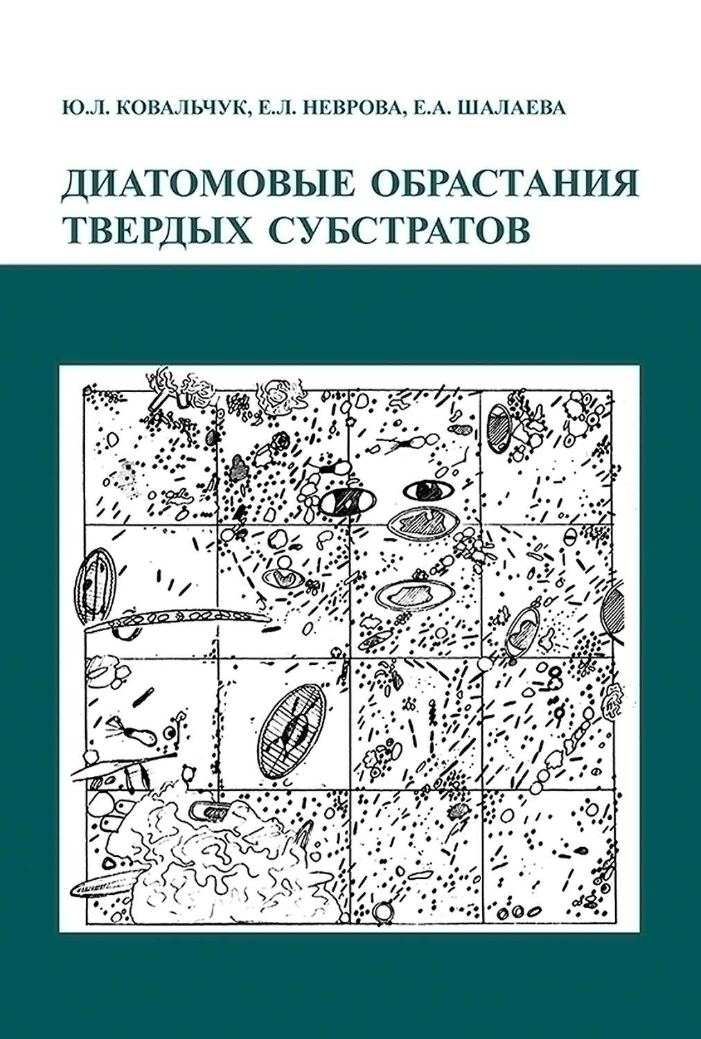 Обложка книги «Диатомовые обрастания твердых субстратов»