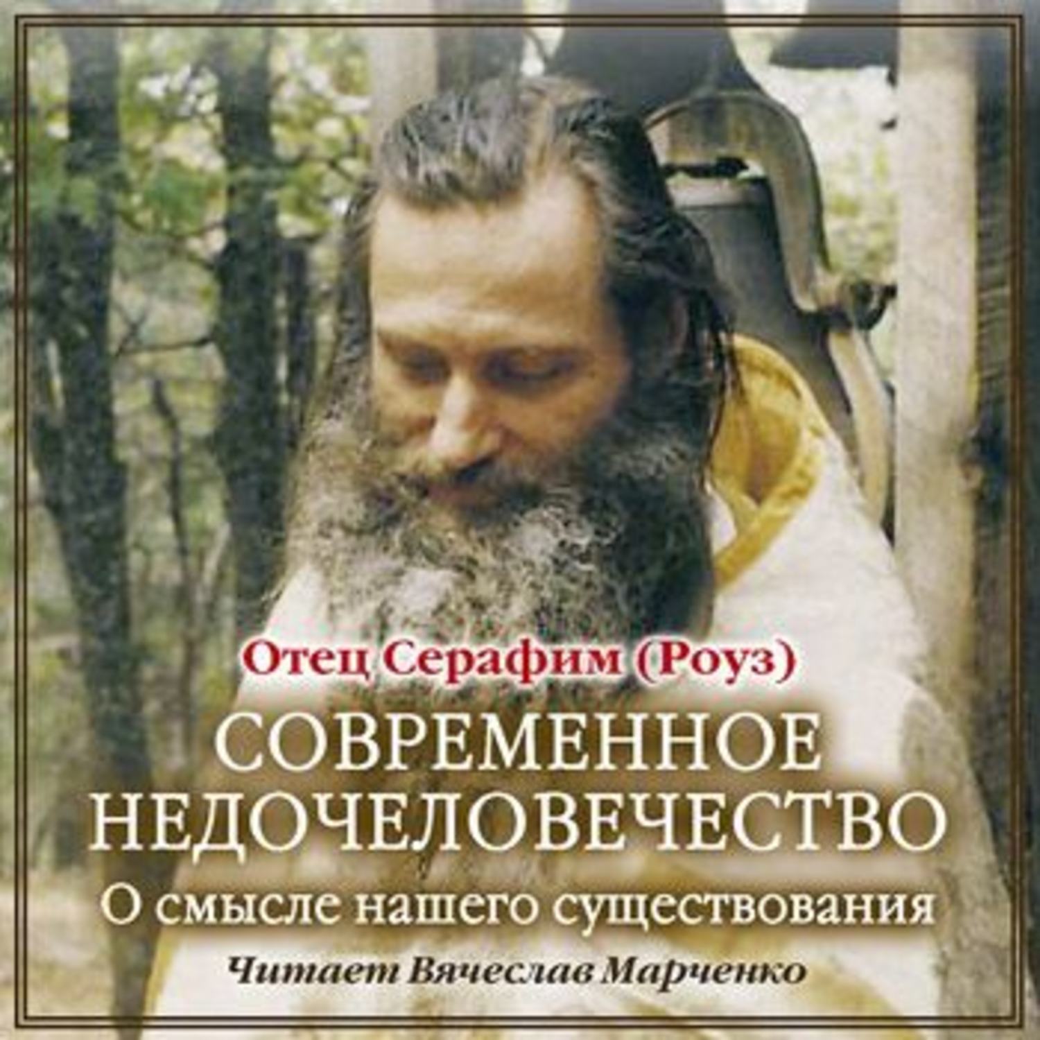 Обложка книги «Современное недочеловечество»