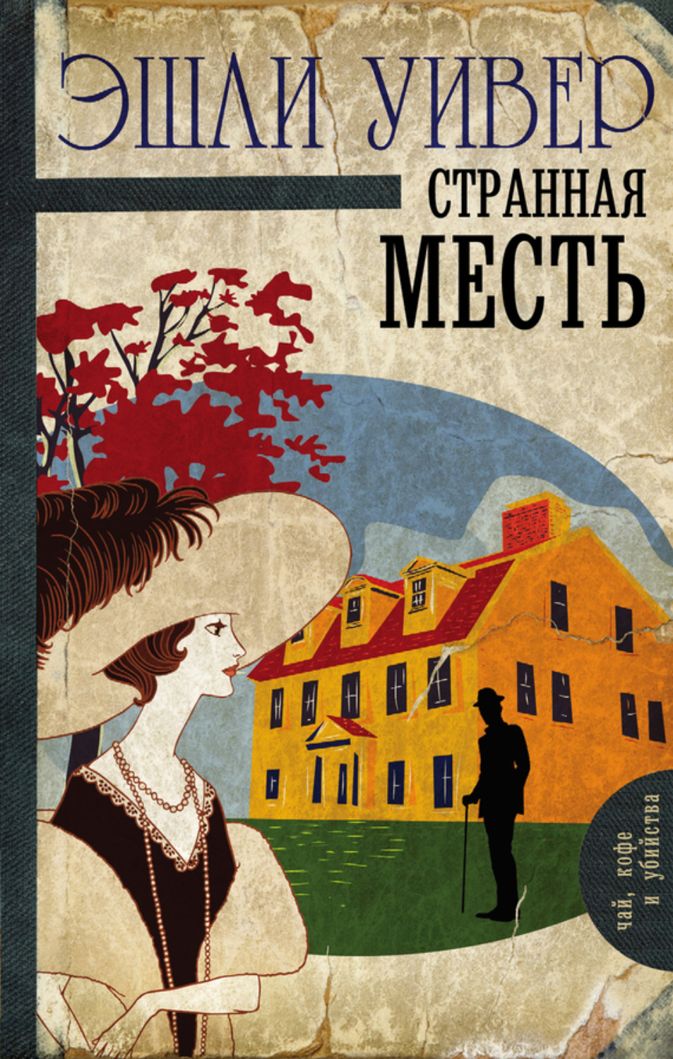 Обложка книги «Странная месть»