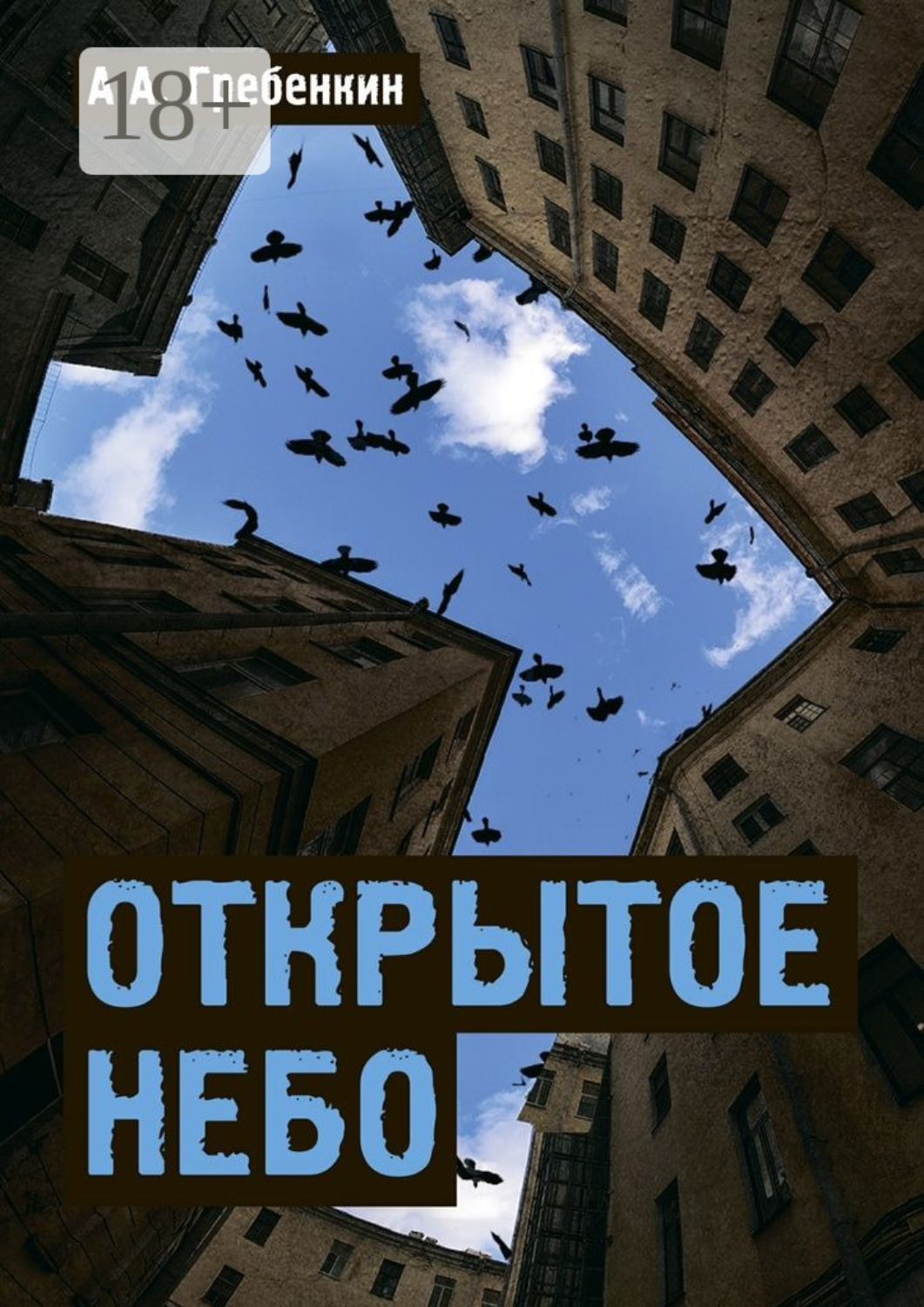 Обложка книги «Открытое небо»