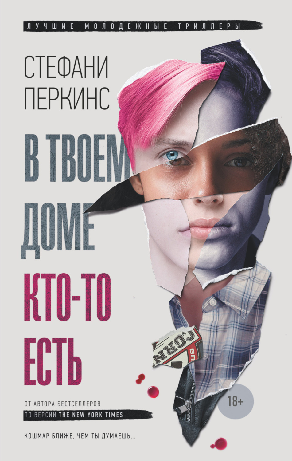 Обложка книги «В твоем доме кто-то есть»
