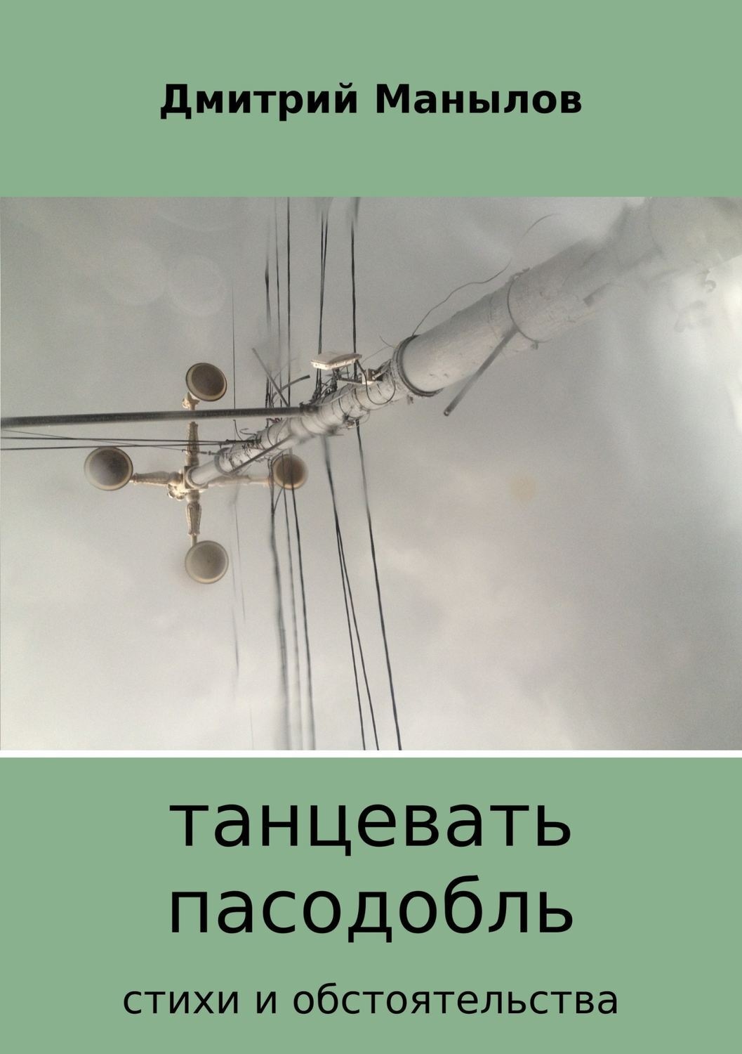 Обложка книги «Танцевать пасодобль. Сборник стихов»