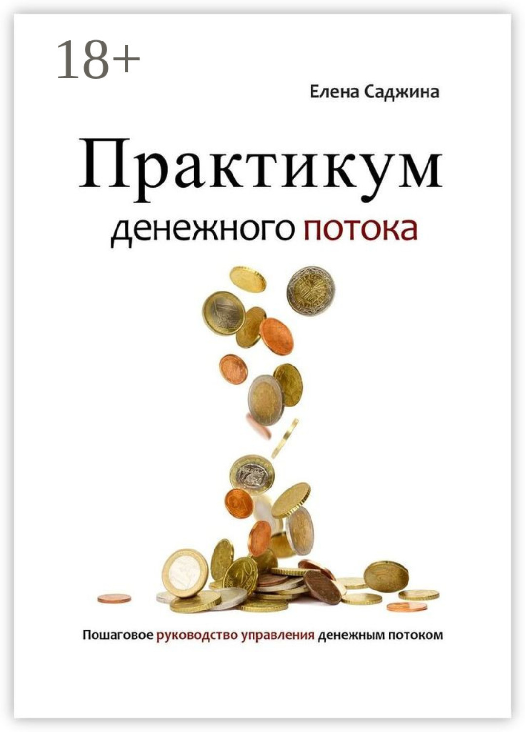 Обложка книги «Практикум денежного потока. Пошаговое руководство управления денежным потоком»