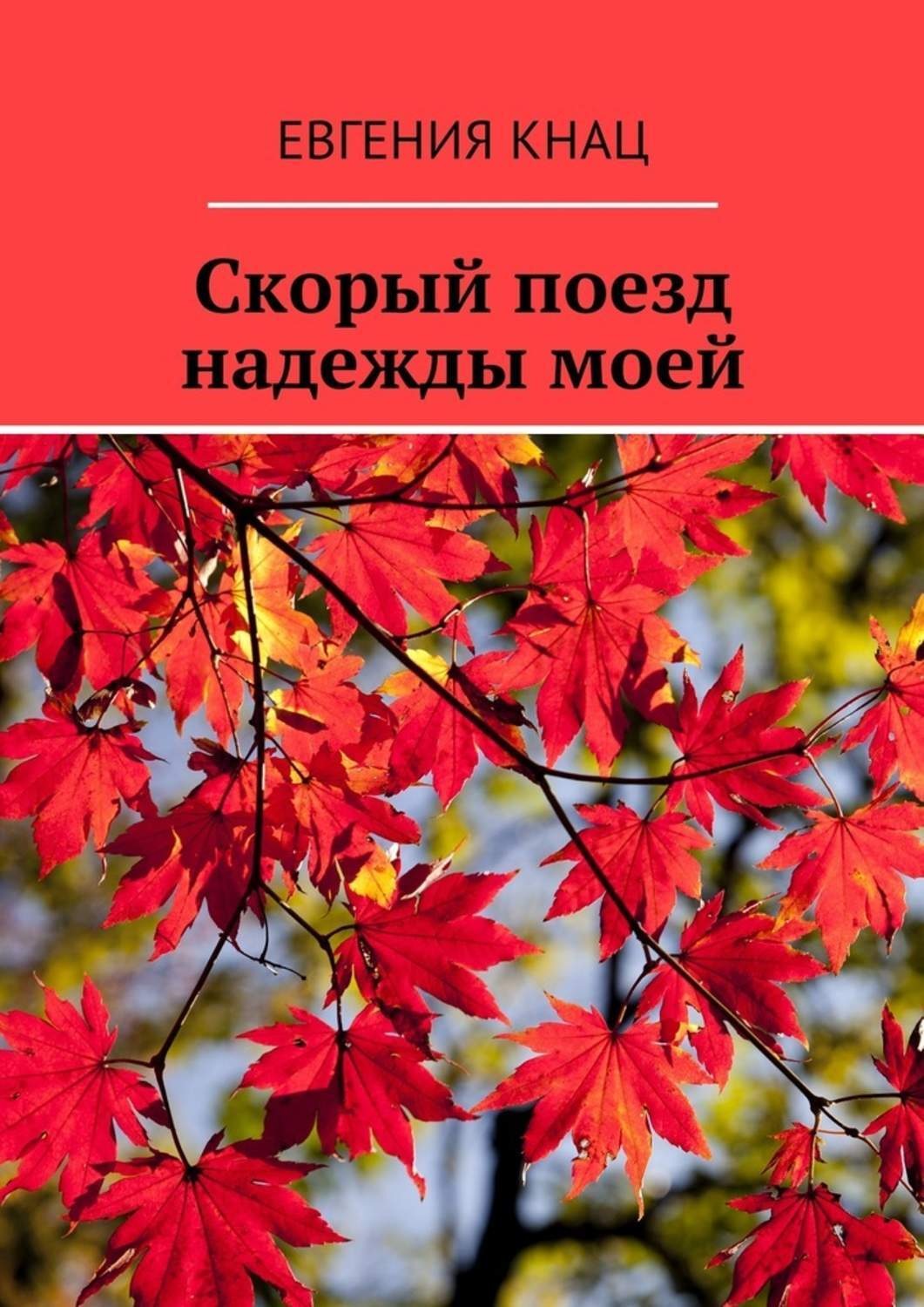 Обложка книги «Скорый поезд надежды моей»