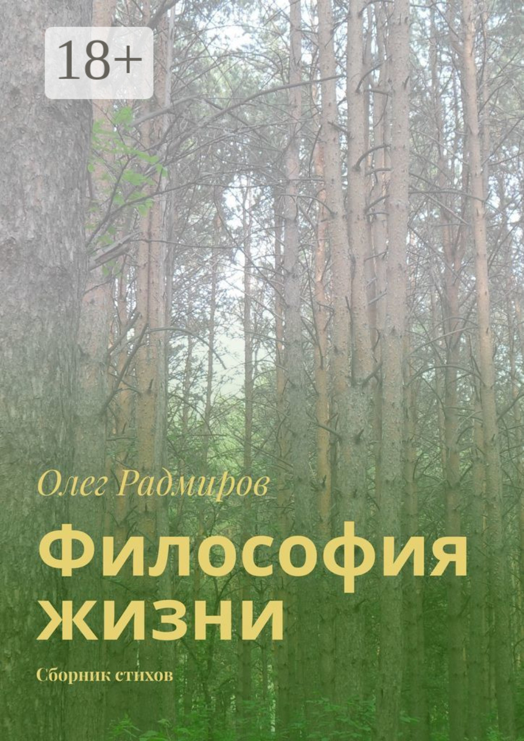 Обложка книги «Философия жизни. Сборник стихов»