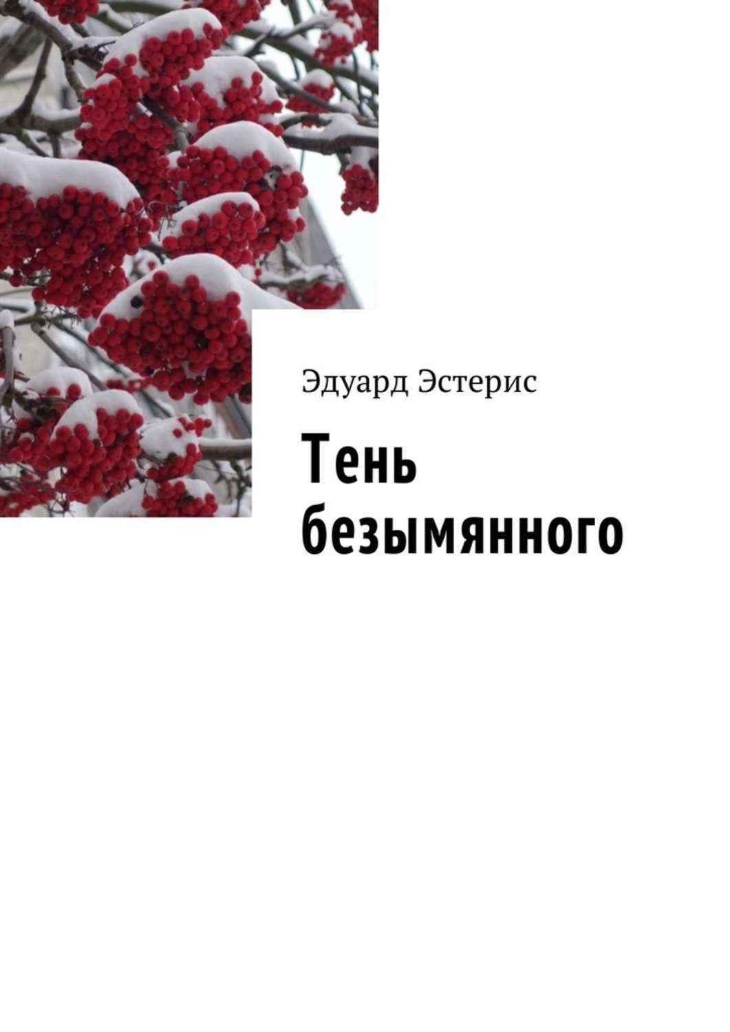 Обложка книги «Тень безымянного»