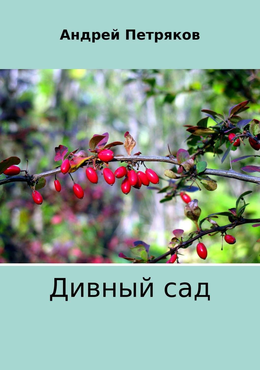 Обложка книги «Дивный сад»