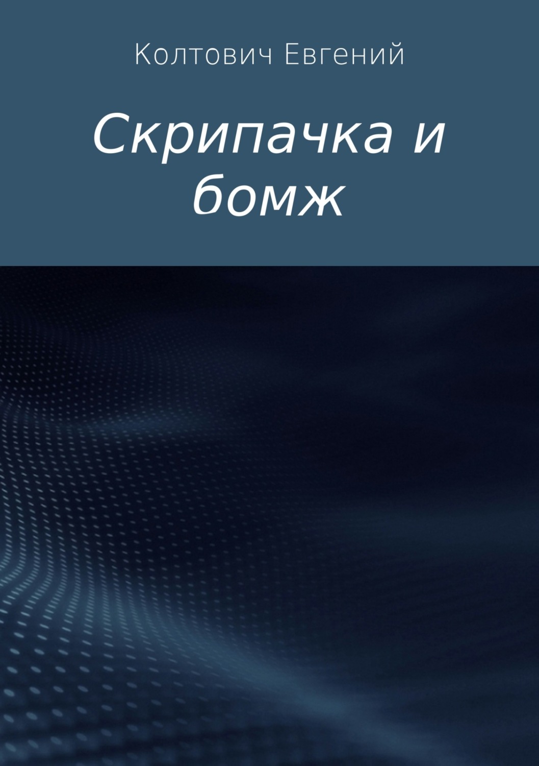 Обложка книги «Скрипачка и бомж»