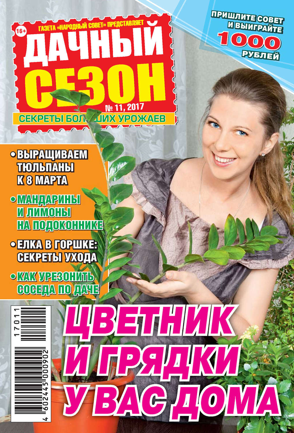 Обложка книги «Дачный сезон №11/2017»
