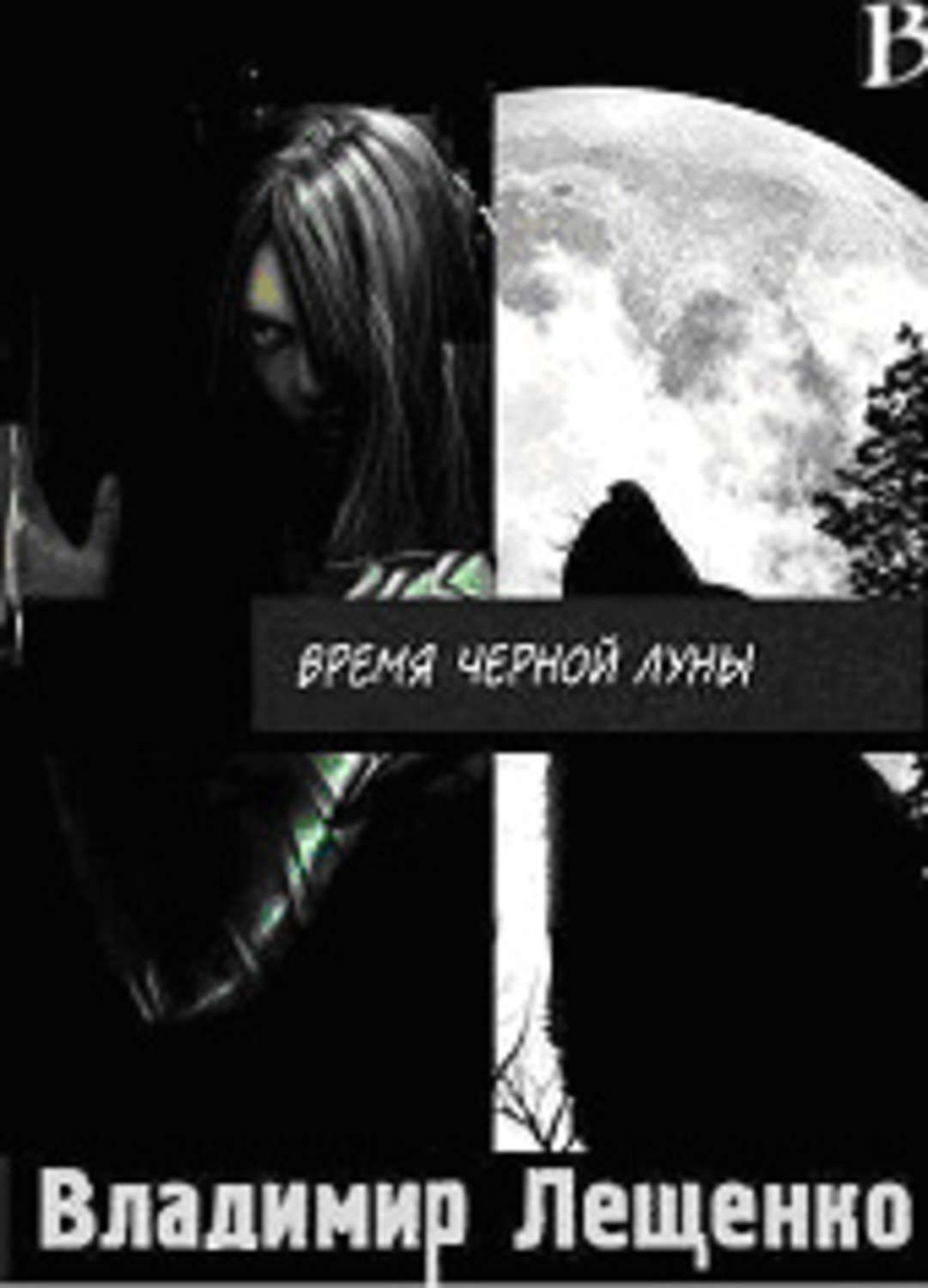 Обложка книги «Время Черной Луны»