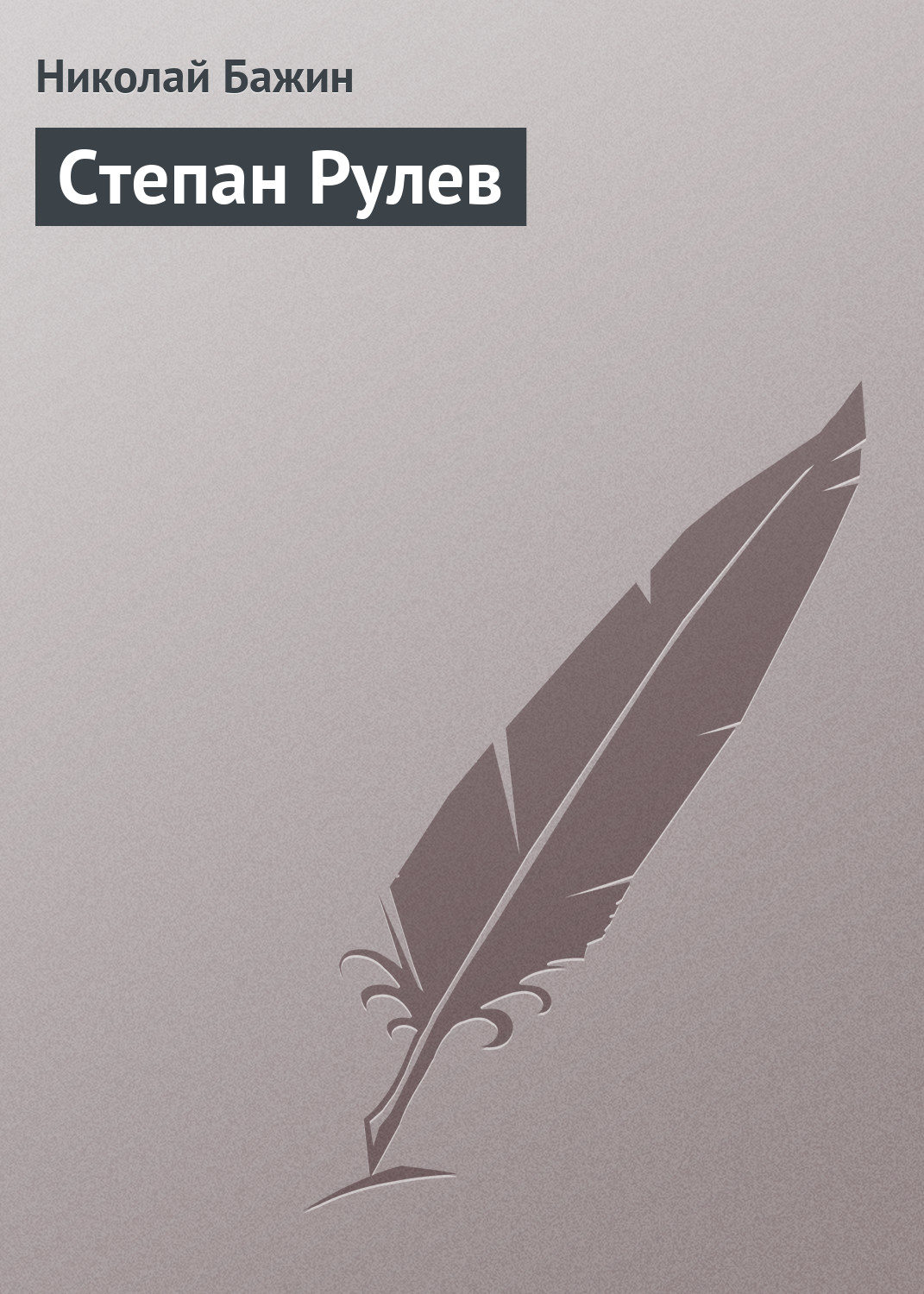 Обложка книги «Степан Рулев»