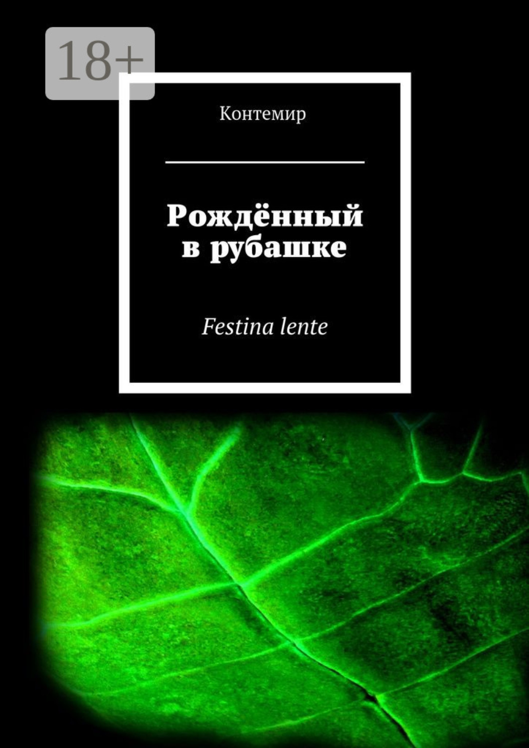 Обложка книги «Рождённый в рубашке. Festina lente»