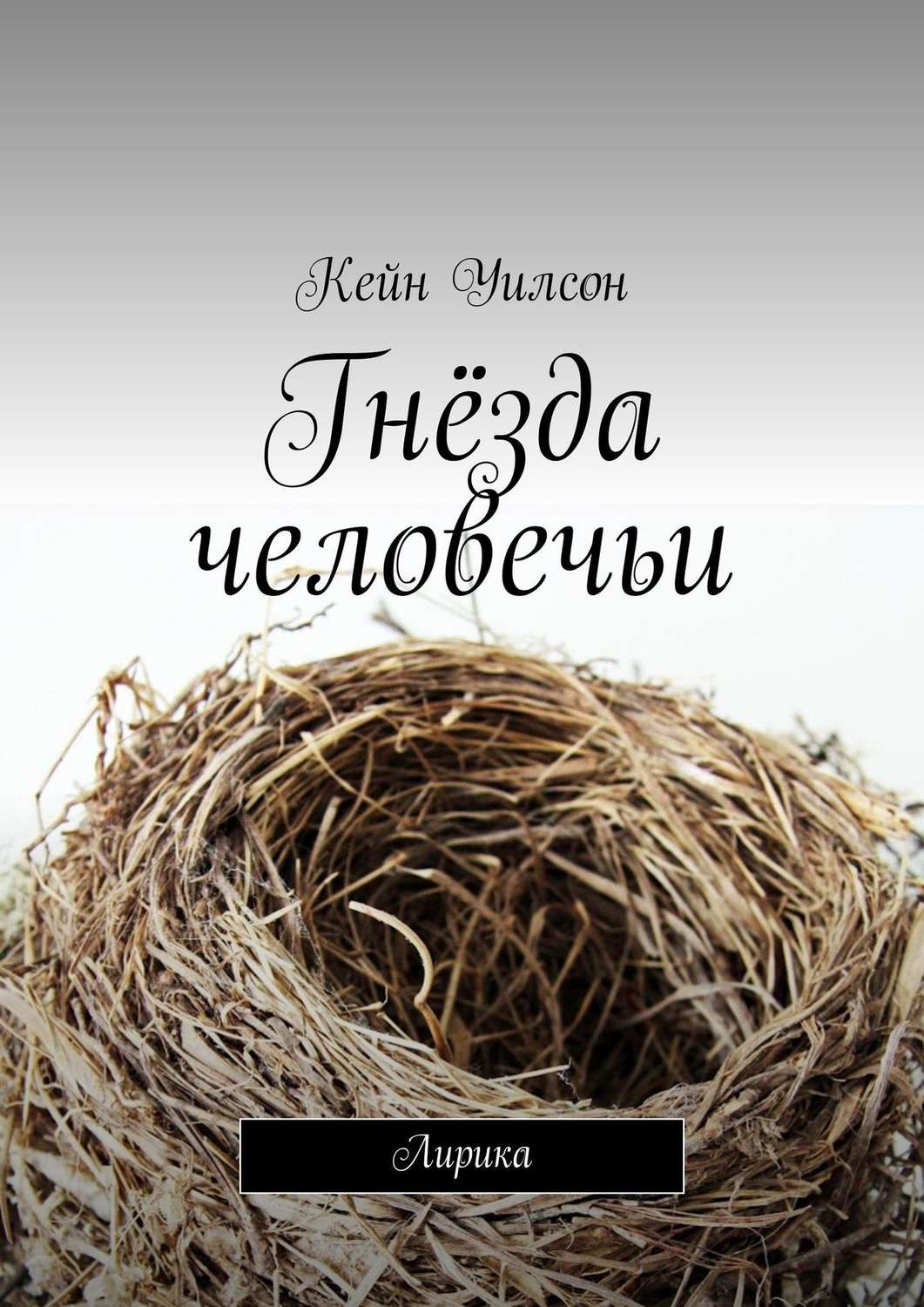 Обложка книги «Гнёзда человечьи. Лирика»