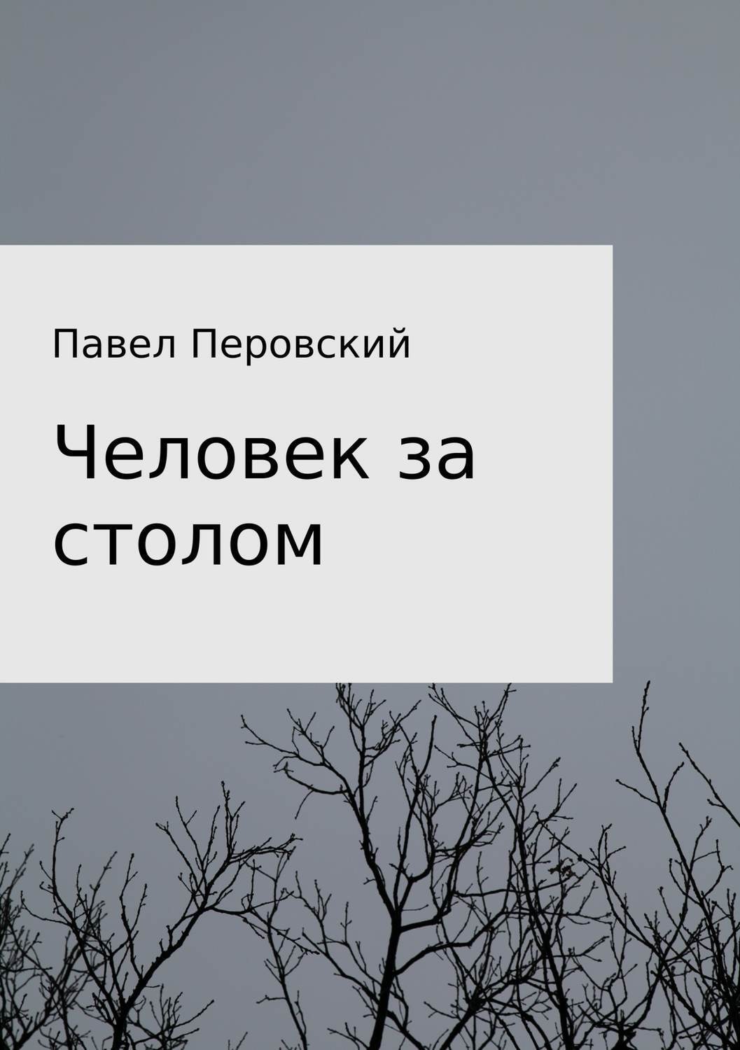 Обложка книги «Человек за столом»