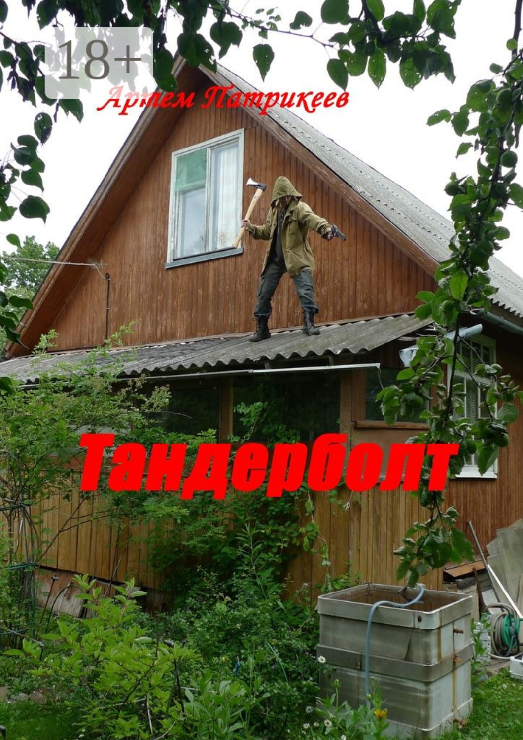Обложка книги «Тандерболт»
