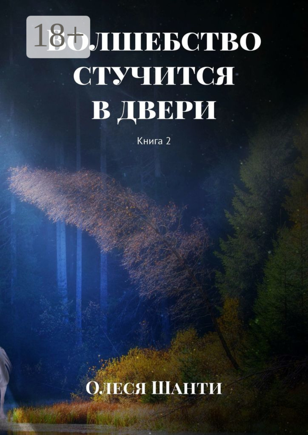 Обложка книги «Волшебство стучится в двери. Книга 2»