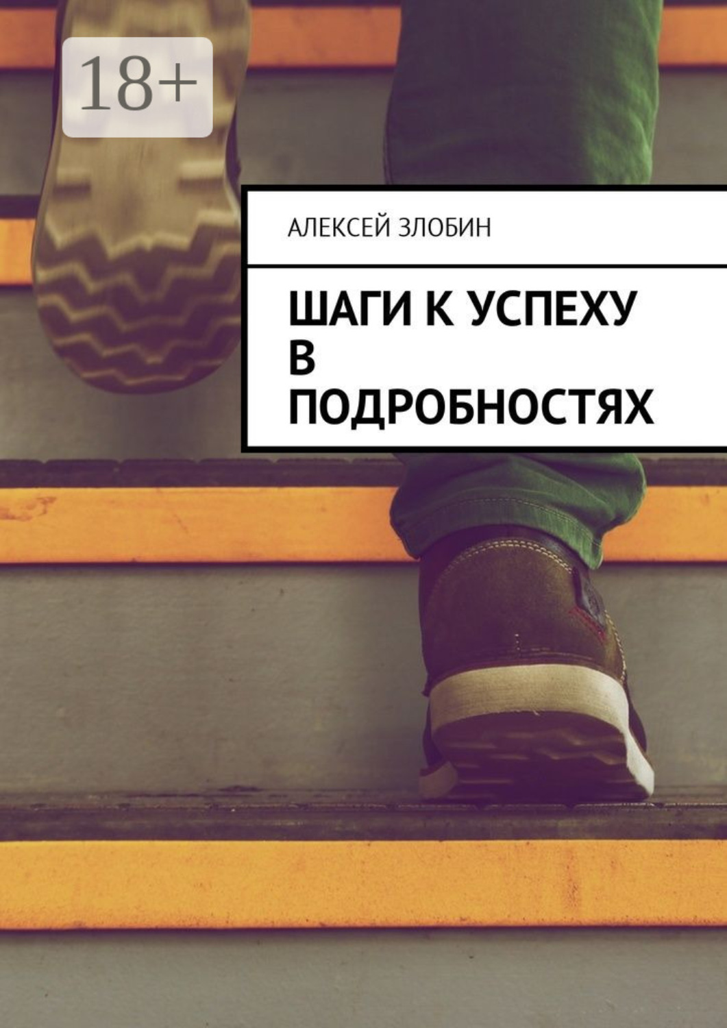 Обложка книги «Шаги к успеху в подробностях»