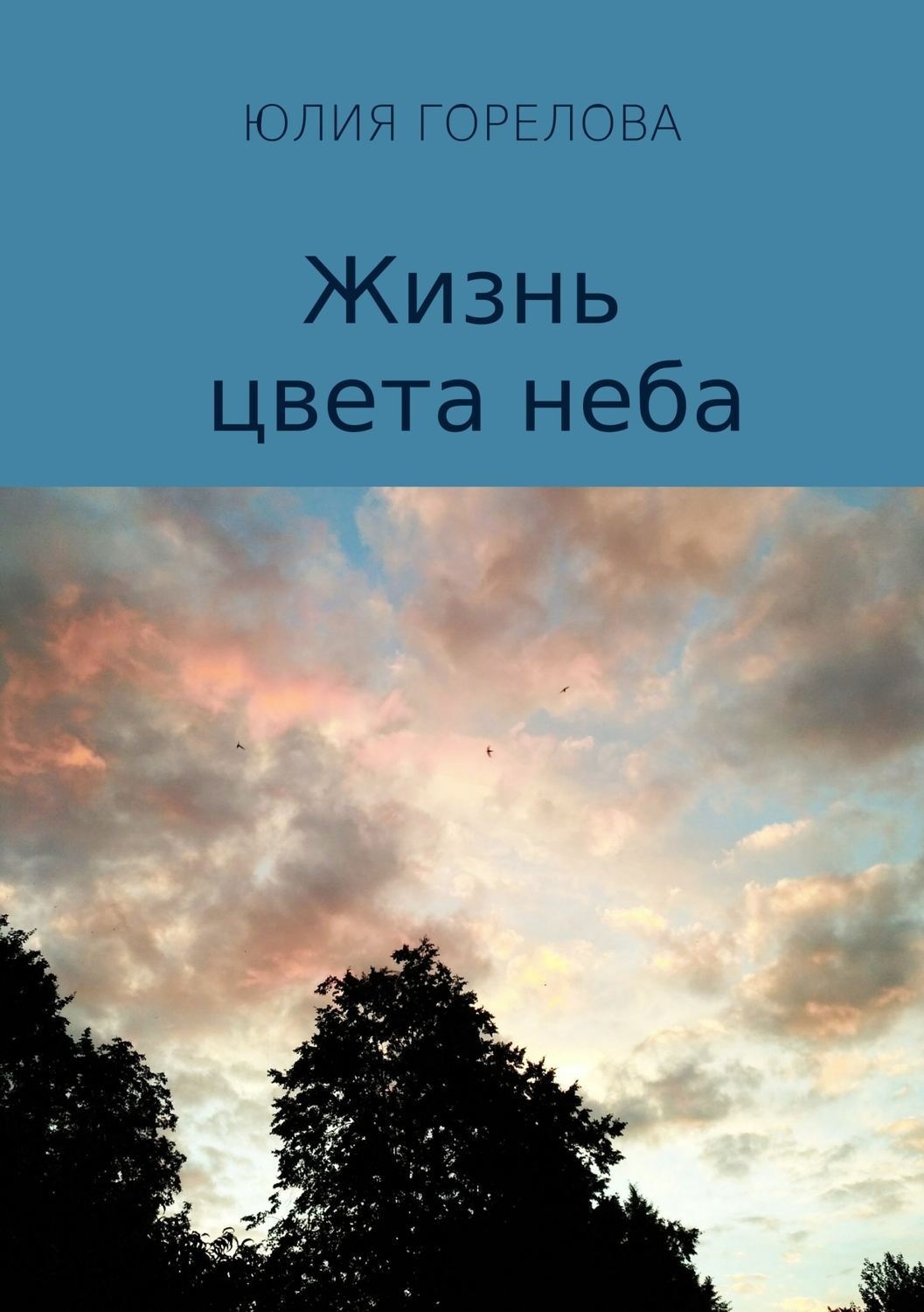 Обложка книги «Жизнь цвета неба»