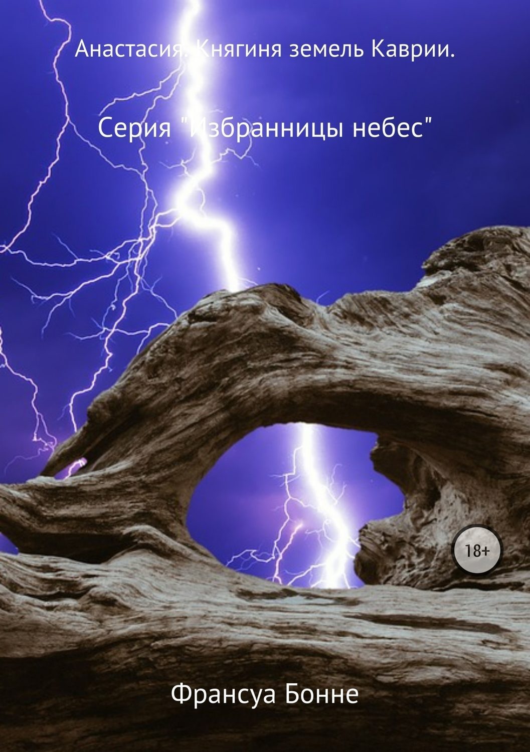 Обложка книги «Анастасия. Княгиня земель Каврии»