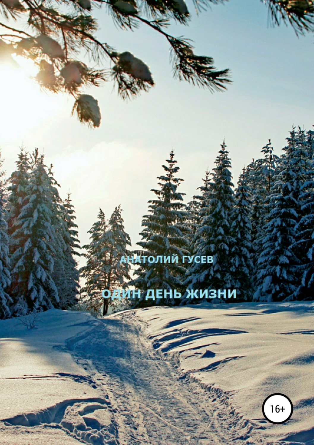 Обложка книги «Один день жизни»