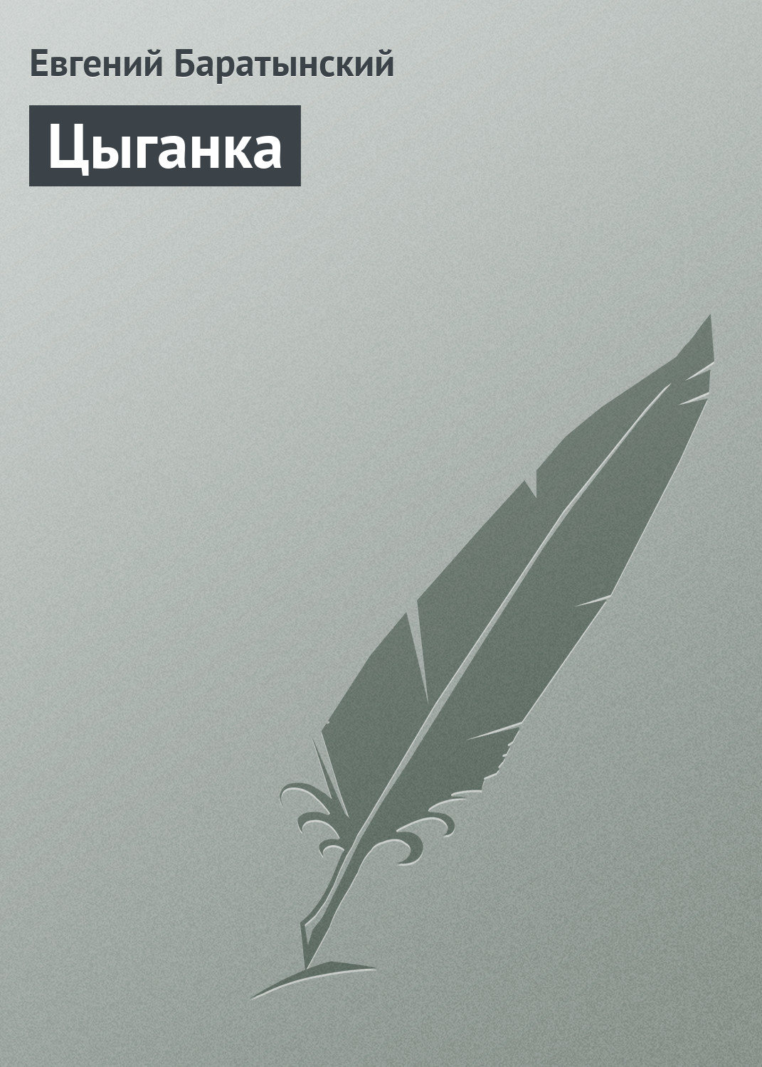 Обложка книги «Цыганка»