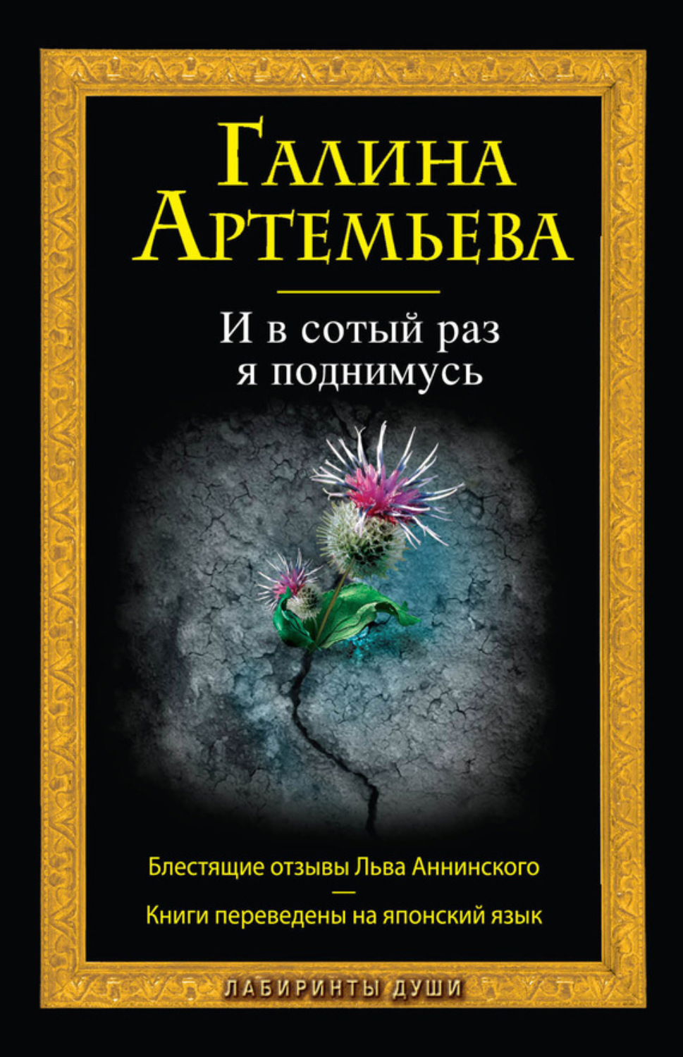 Обложка книги «И в сотый раз я поднимусь»