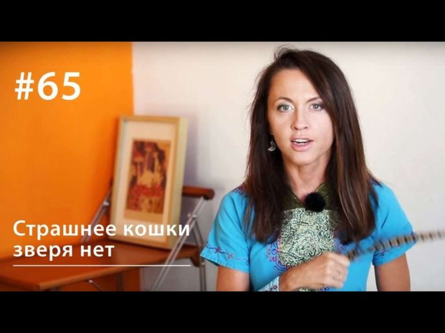 Обложка книги «Страшнее кошки зверя нет»