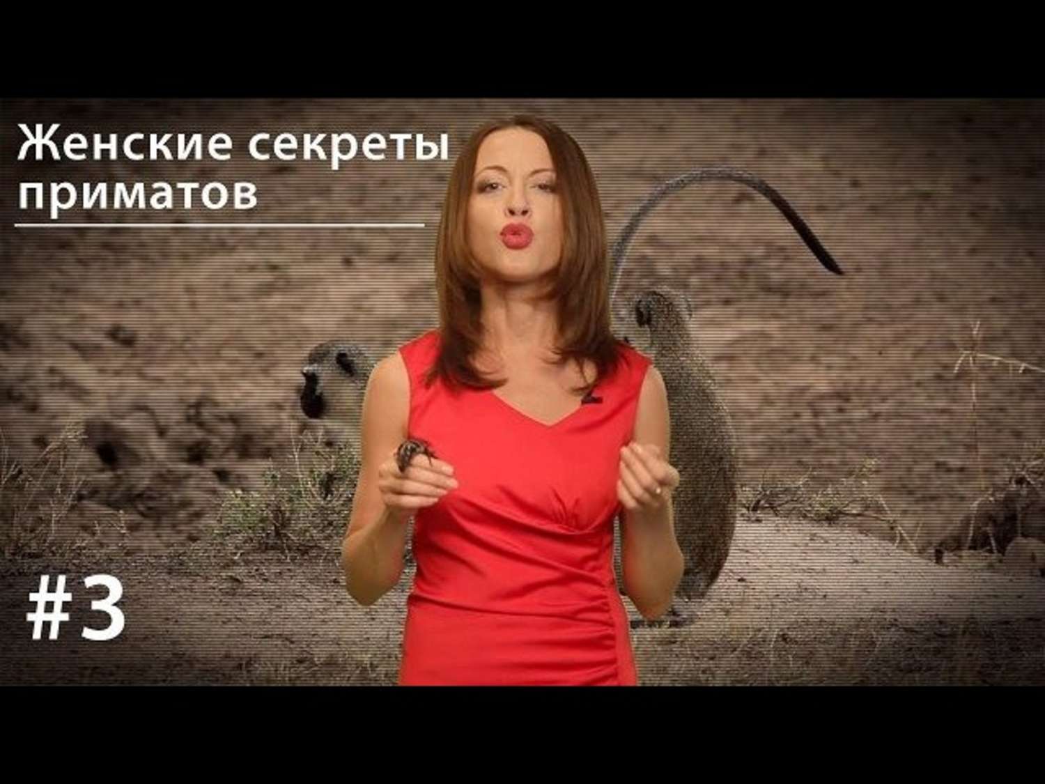 Обложка книги «Женские секреты приматов»