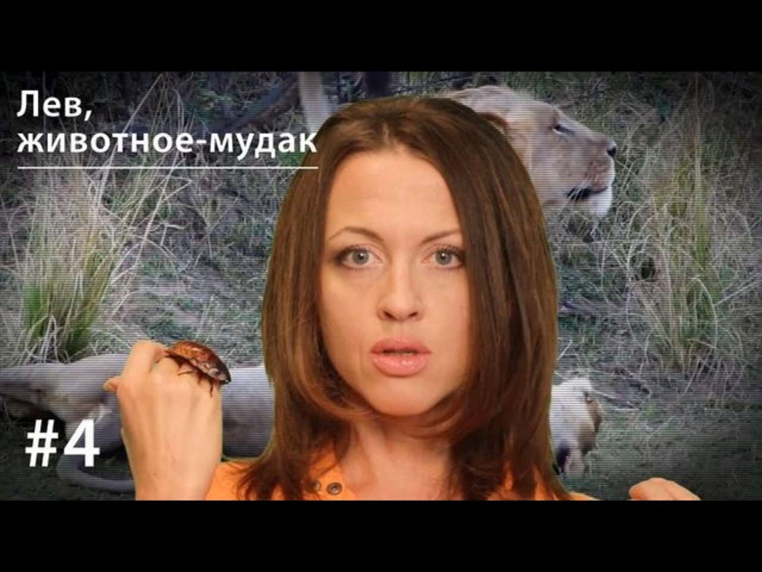 Обложка книги «Лев: животное-мудак»