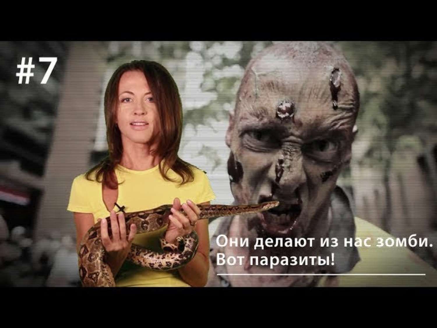 Обложка книги «Они делают из нас зомби. Вот паразиты!»