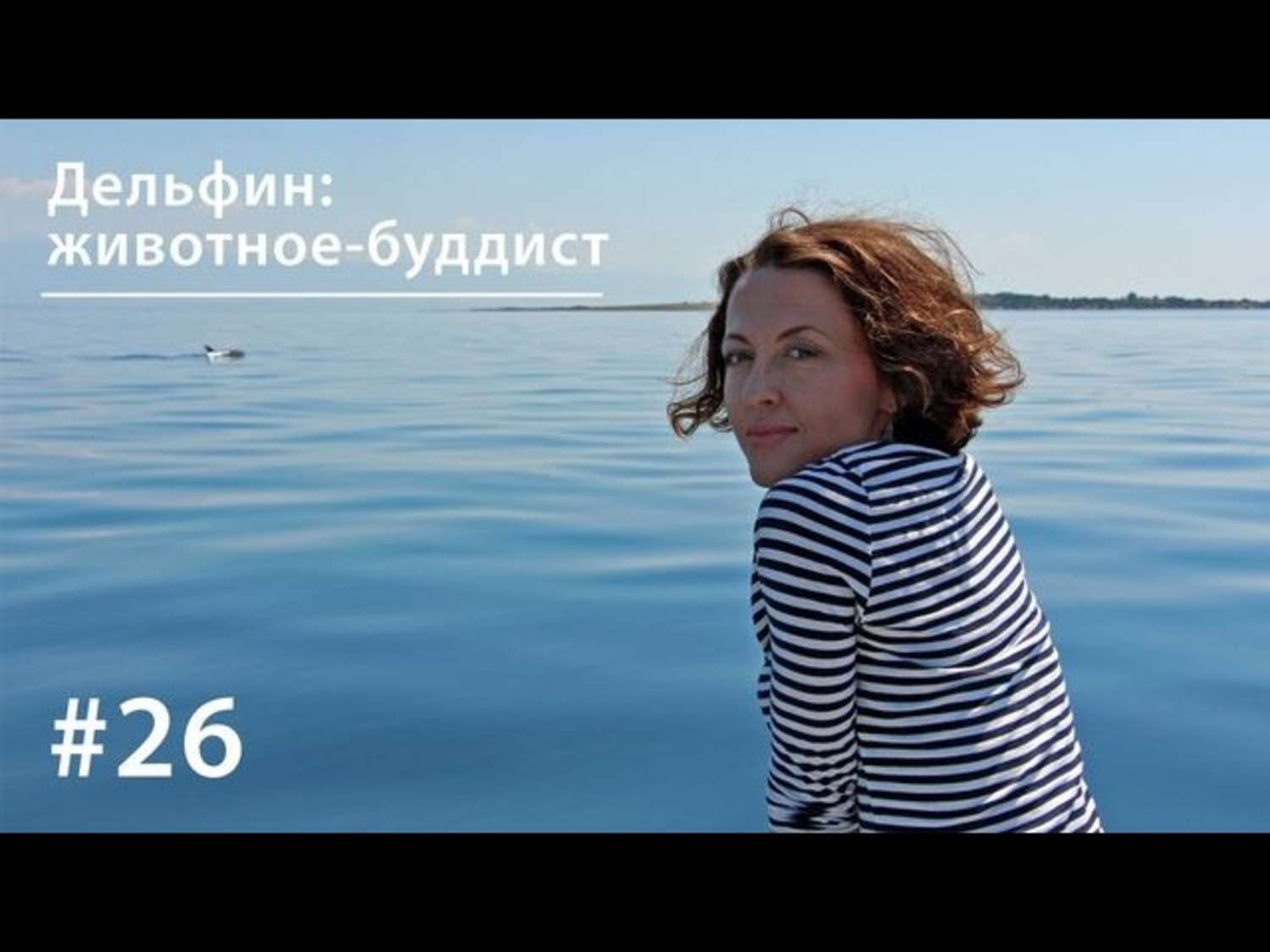 Обложка книги «Дельфин: животное-буддист»